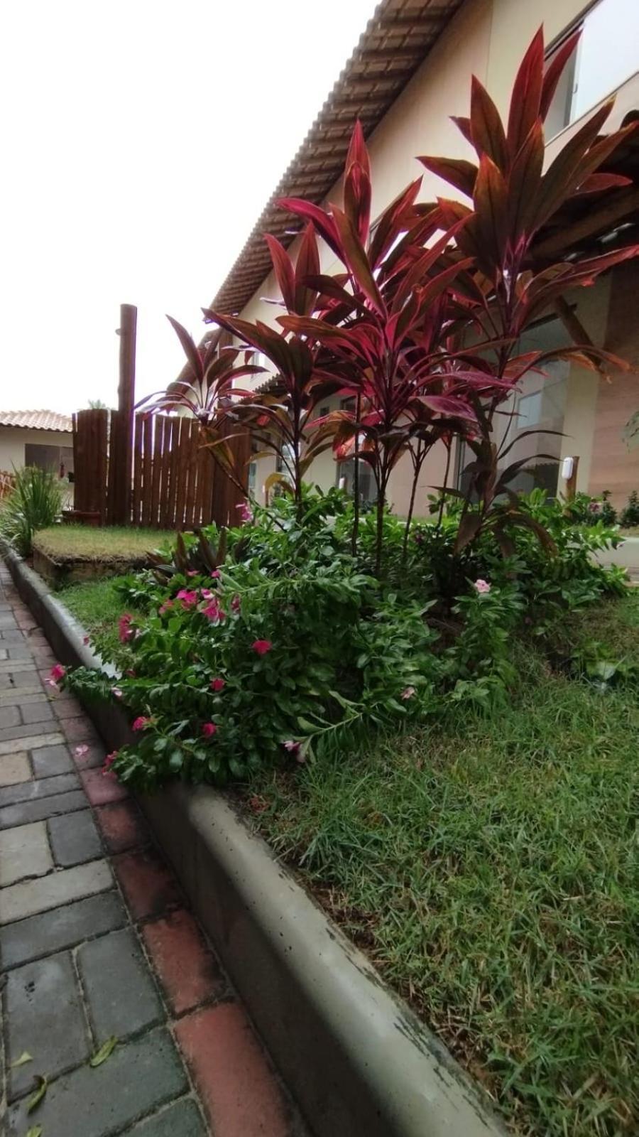Aconchego Da Jandaia Apartment Imbassai